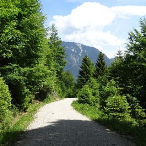 HotelamBadersee_Wanderung-Schafkopf26