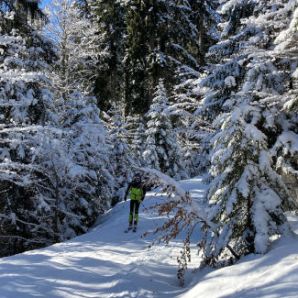 badersee-blog_skitour-scheinbergspitze_new_36