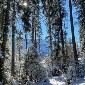 badersee-blog_skitour-scheinbergspitze_new_39