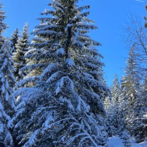 badersee-blog_skitour-scheinbergspitze_new_41