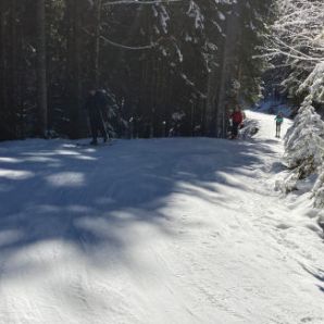 badersee-blog_skitour-scheinbergspitze_new_43