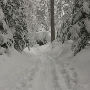 badersee_blog_skitour-scheinbergspitze_03