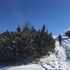 badersee-blog_skitouren-am-wank_40