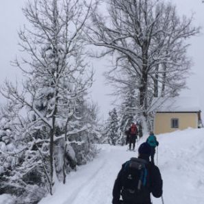 badersee-blog_skitouren-am-wank_02