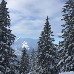badersee-blog_skitouren-am-wank_15