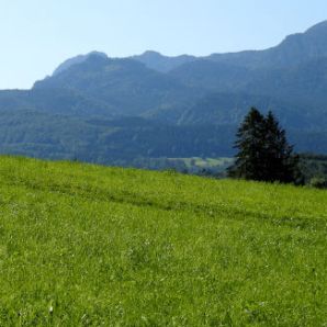 badersee-blog_spitzenwanderweg_etappe1_038