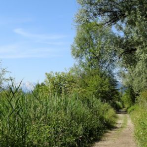 badersee-blog_spitzenwanderweg_etappe1_052