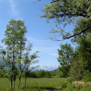 badersee-blog_spitzenwanderweg_etappe1_056