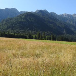 badersee-blog_spitzenwanderweg_etappe2_06