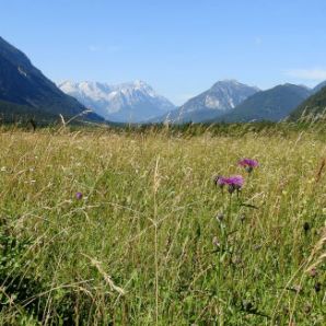 badersee-blog_spitzenwanderweg_etappe2_11