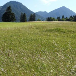 badersee-blog_spitzenwanderweg_etappe2_15