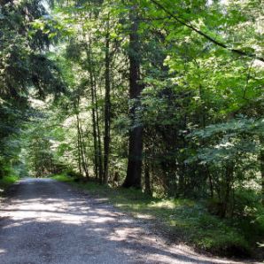 badersee-blog_spitzenwanderweg_etappe2_20