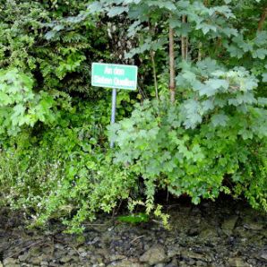 badersee-blog_spitzenwanderweg_etappe2_24