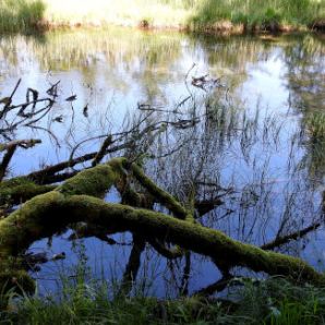 badersee-blog_spitzenwanderweg_etappe2_27