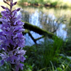 badersee-blog_spitzenwanderweg_etappe2_28