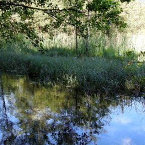 badersee-blog_spitzenwanderweg_etappe2_29