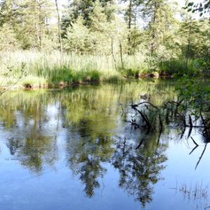 badersee-blog_spitzenwanderweg_etappe2_30