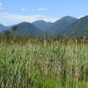 badersee-blog_spitzenwanderweg_etappe2_37