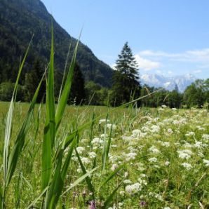 badersee-blog_spitzenwanderweg_etappe2_56