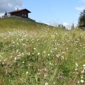 badersee-blog_spitzenwanderweg_etappe03_30