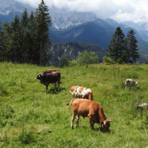 badersee-blog_spitzenwanderweg_etappe03_50