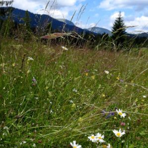 badersee-blog_spitzenwanderweg_etappe03_68