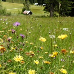 badersee-blog_spitzenwanderweg_etappe03_70