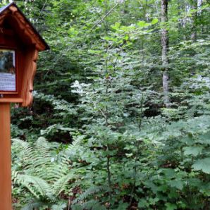 badersee-blog_spitzenwanderweg_etappe03_95