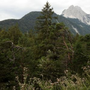 badersee-blog_spitzenwanderweg_etappe06_10