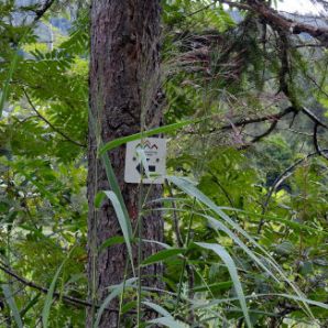 badersee-blog_spitzenwanderweg_etappe06_22