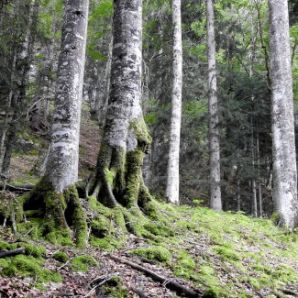 badersee-blog_spitzenwanderweg_etappe06_32