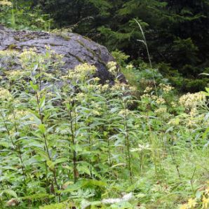 badersee-blog_spitzenwanderweg_etappe06_43