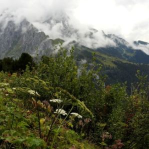 badersee-blog_spitzenwanderweg_etappe06_97