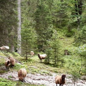 badersee-blog_spitzenwanderweg_etappe07_028