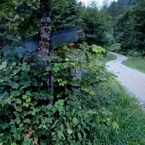 badersee-blog_spitzenwanderweg_etappe07_060