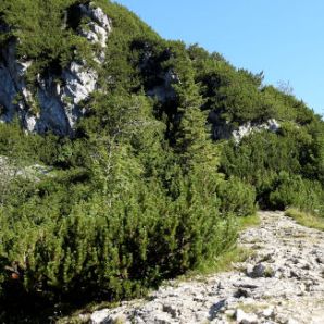 badersee-blog_spitzenwanderweg_etappe08_23