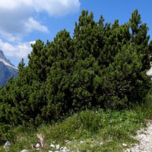 badersee-blog_spitzenwanderweg_etappe08_31