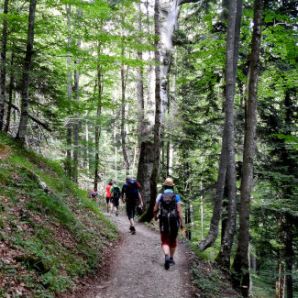 badersee-blog_spitzenwanderweg_etappe08_84