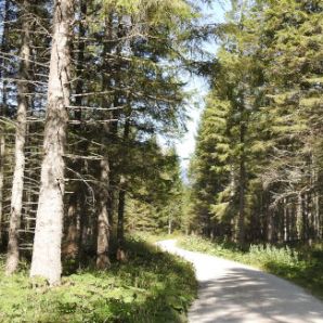 badersee-blog_spitzenwanderweg_etappe09_50