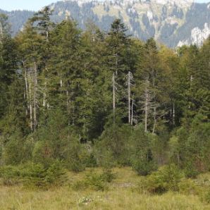 badersee-blog_spitzenwanderweg_etappe09_56