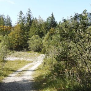 badersee-blog_spitzenwanderweg_etappe09_60