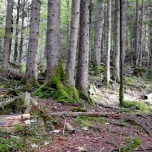 badersee-blog_spitzenwanderweg_etappe10_05