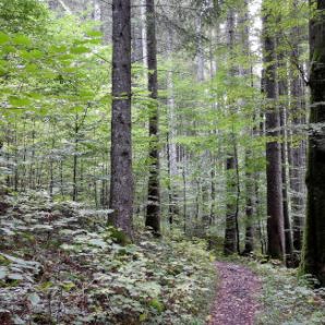 badersee-blog_spitzenwanderweg_etappe10_07