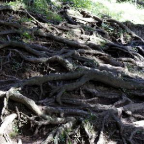 badersee-blog_spitzenwanderweg_etappe10_33