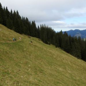 badersee-blog_spitzenwanderweg_etappe10_59