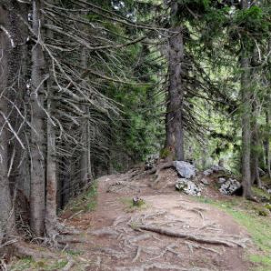 badersee-blog_spitzenwanderweg_etappe10_65