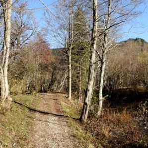 badersee-blog_spitzenwanderweg_etappe11_08