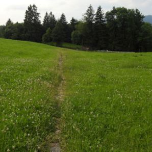 badersee-blog_spitzenwanderweg_etappe12_015