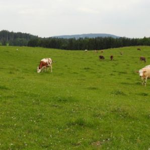 badersee-blog_spitzenwanderweg_etappe12_030