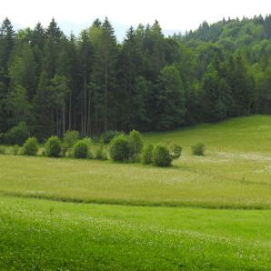 badersee-blog_spitzenwanderweg_etappe12_034